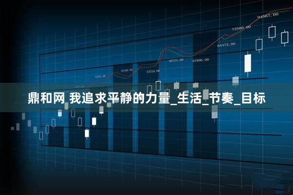 鼎和网 我追求平静的力量_生活_节奏_目标