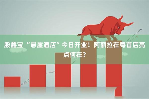 股鑫宝 “悬崖酒店”今日开业！阿丽拉在粤首店亮点何在？