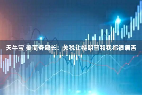 天牛宝 美商务部长：关税让特朗普和我都很痛苦
