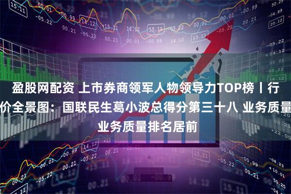 盈股网配资 上市券商领军人物领导力TOP榜丨行业数据评价全景图：国联民生葛小波总得分第三十八 业务质量排名居前