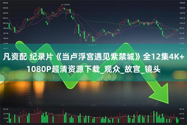 凡资配 纪录片《当卢浮宫遇见紫禁城》全12集4K+1080P超清资源下载_观众_故宫_镜头