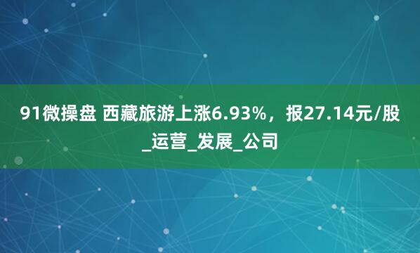 91微操盘 西藏旅游上涨6.93%，报27.14元/股_运营_发展_公司