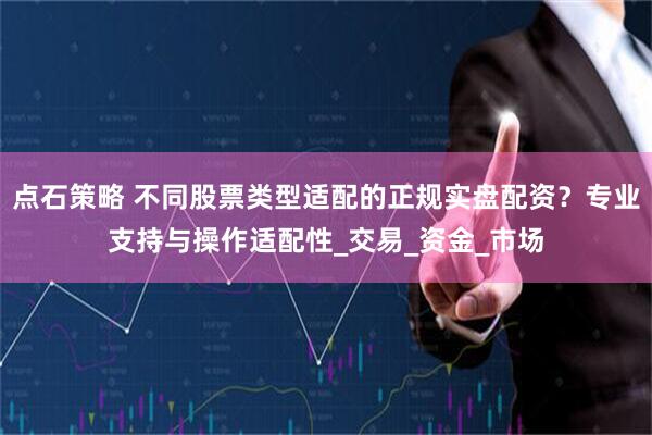 点石策略 不同股票类型适配的正规实盘配资？专业支持与操作适配性_交易_资金_市场