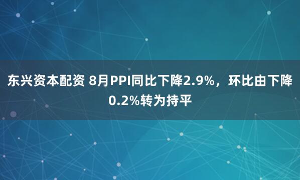 东兴资本配资 8月PPI同比下降2.9%，环比由下降0.2%转为持平