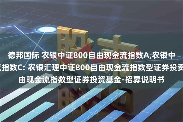 德邦国际 农银中证800自由现金流指数A,农银中证800自由现金流指数C: 农银汇理中证800自由现金流指数型证券投资基金-招募说明书