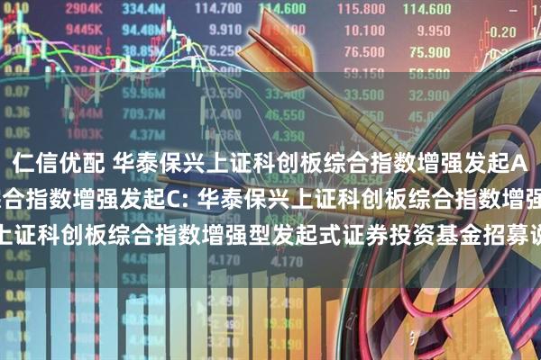 仁信优配 华泰保兴上证科创板综合指数增强发起A,华泰保兴上证科创板综合指数增强发起C: 华泰保兴上证科创板综合指数增强型发起式证券投资基金招募说明书