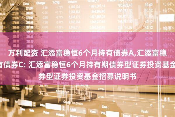 万利配资 汇添富稳恒6个月持有债券A,汇添富稳恒6个月持有债券C: 汇添富稳恒6个月持有期债券型证券投资基金招募说明书