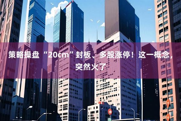 策略操盘 “20cm”封板、多股涨停！这一概念，突然火了